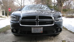 The Beast